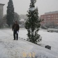 Neve