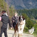 São Bernardo sendo utilizado para Ganhar $$ com Fotografia - Bariloche.