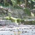 Parque Lage