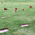 The National Memorial Cemetery (Punchbowl Memorial, Oahu, HI)