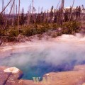 Hot Springs in Wyoming (1998)