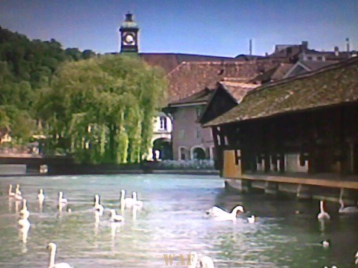 LAGO DOS CISNES