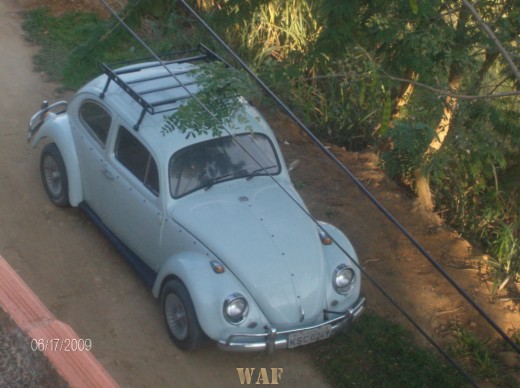 FUSCA - RARIDADE