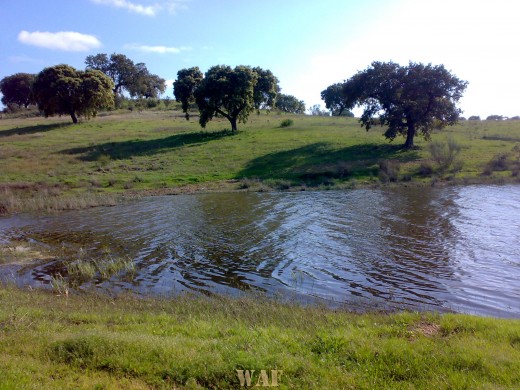 Maranhão