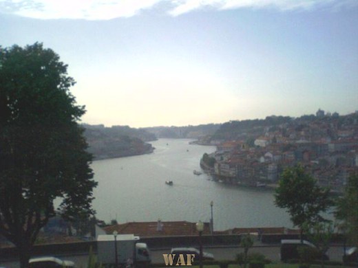 DOURO FOREVER