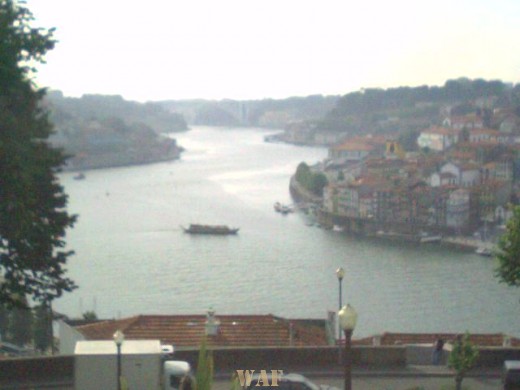 DOURO FOREVER II