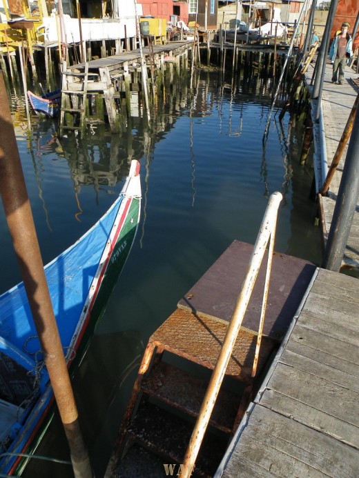 Avieiros do Tejo II