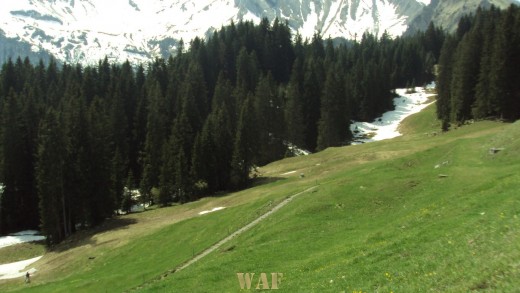 Alpes suiços na primavera