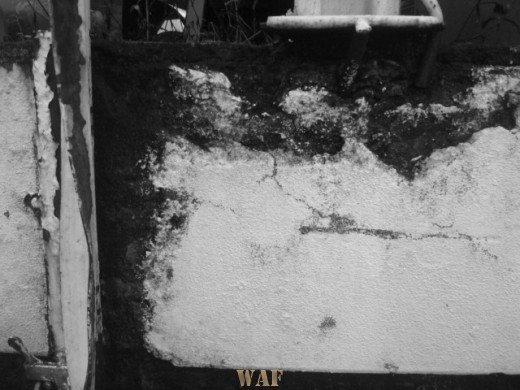 "wall" do portfólio Behance.net