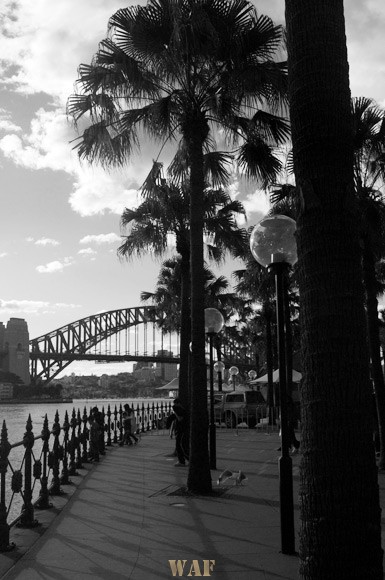 Darling Harbour, Sydeny Australia