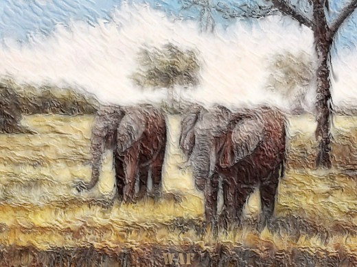 THE ELEPHANTS