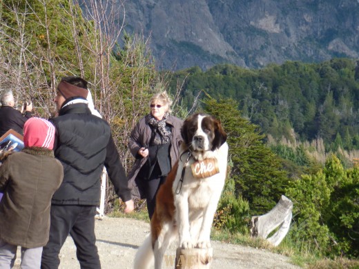 São Bernardo sendo utilizado para Ganhar $$ com Fotografia - Bariloche.