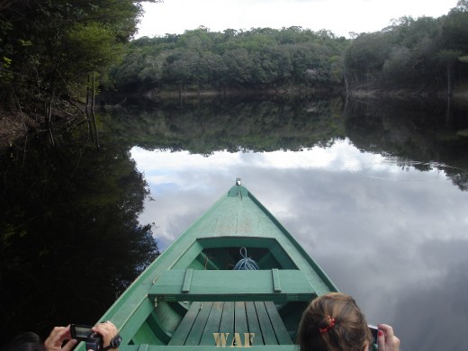 Igarapé em rio da Amazonia!