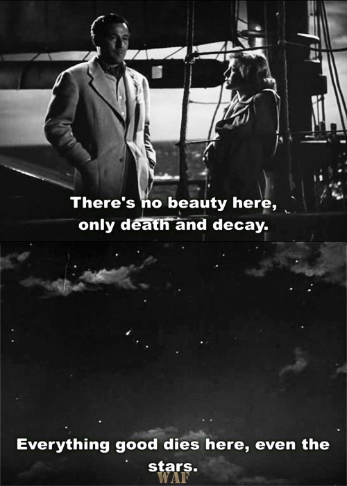 There´s no beauty here