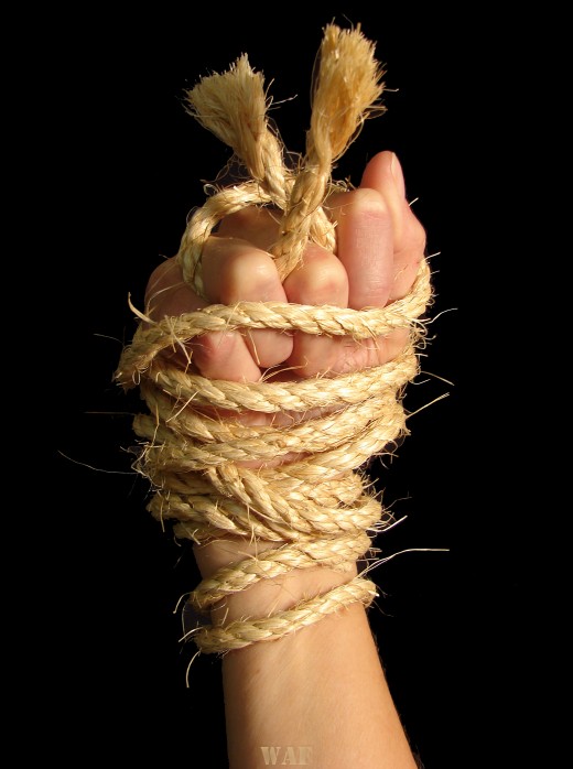 a Bound hand in rope