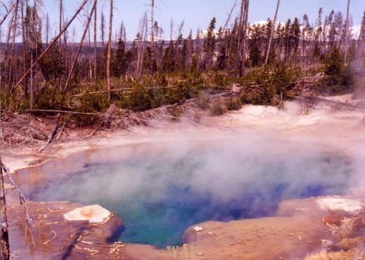 Hot Springs in Wyoming (1998)