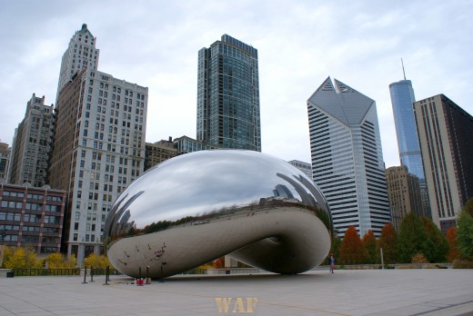 the Millennium Bean and the Chicago skyline 11/10/09