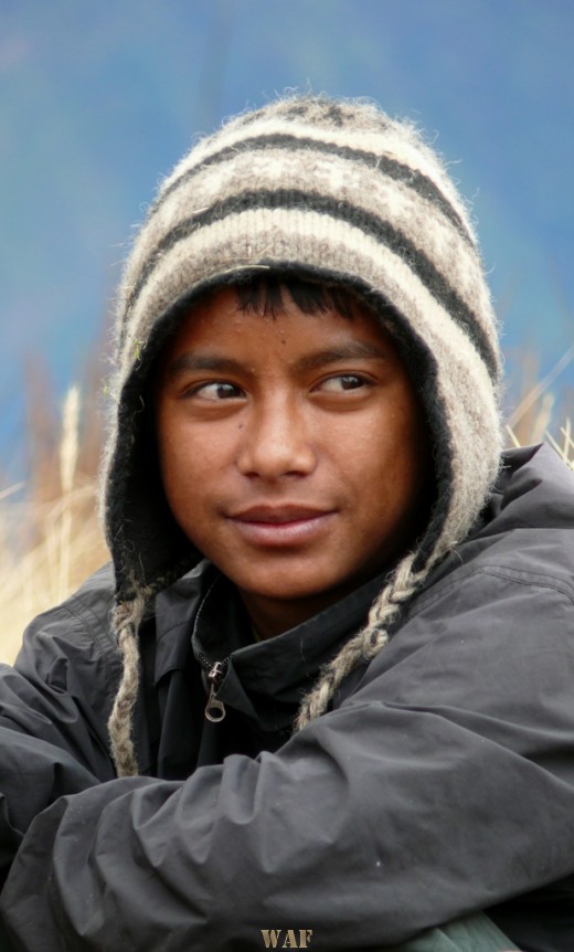 sherpa kid