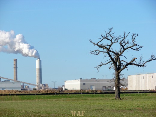 a Smoke Stack and a dead tree in Wisconsin