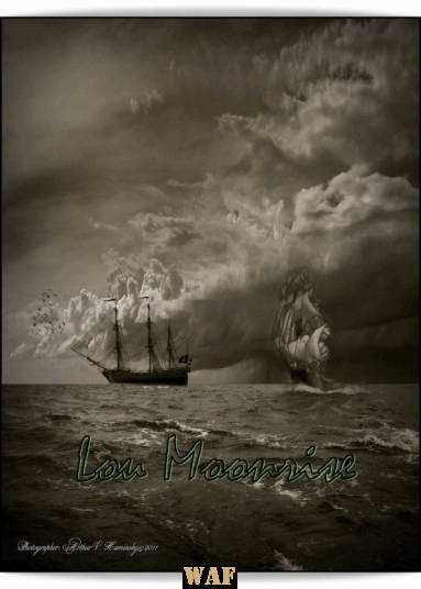 "Meu Veleiro de Areia". Criatividade-Gif Lou Moonrise. Imagens colhidas na internet.