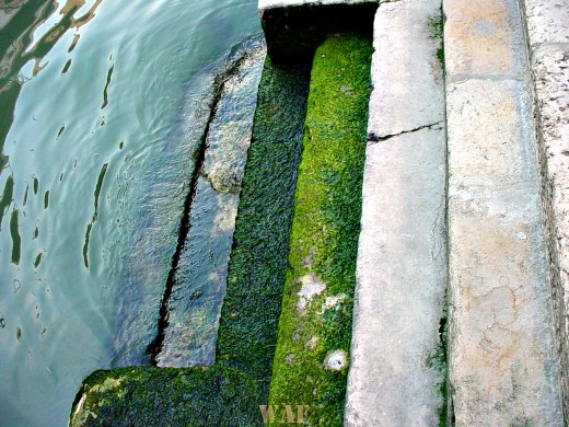 building steps leading into the water in Venice (Italy)